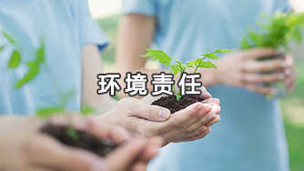 Trách nhiệm môi trường